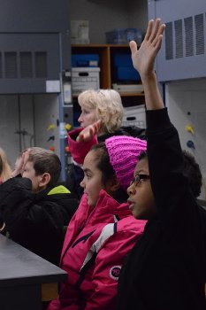 Student raising their hands