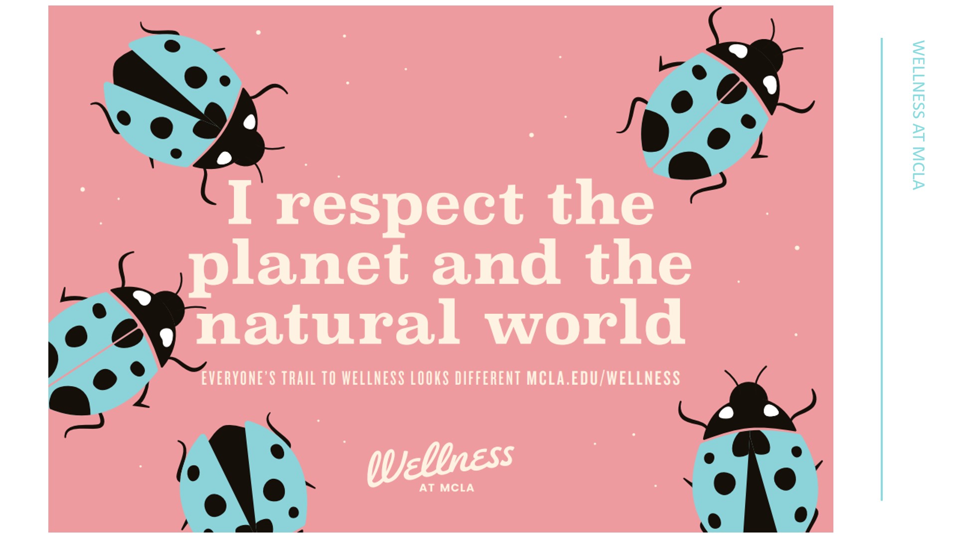 I respect the plant and the natural world