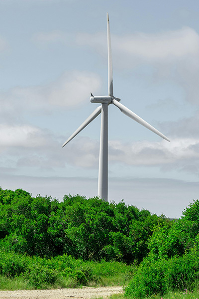 Windmill