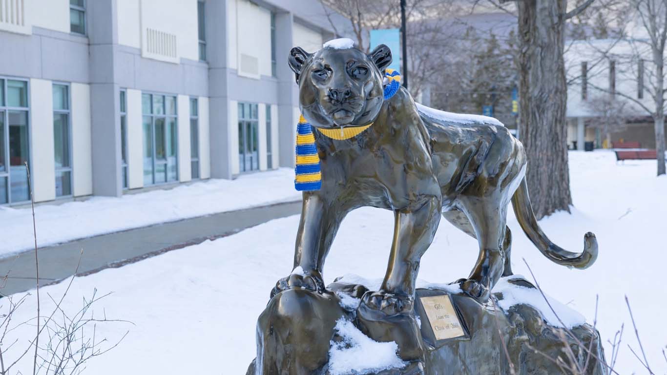 Murdock on a cold, snow day