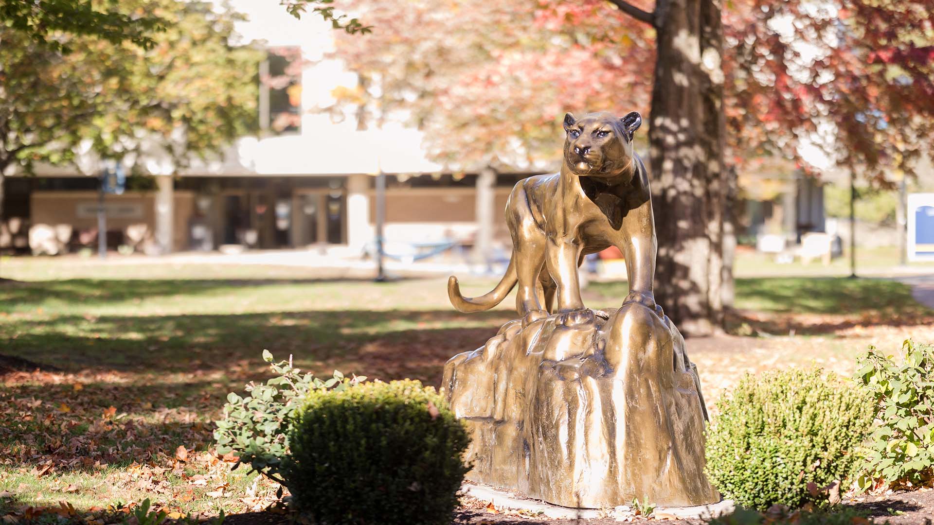 MCLA mascot "Murdock"