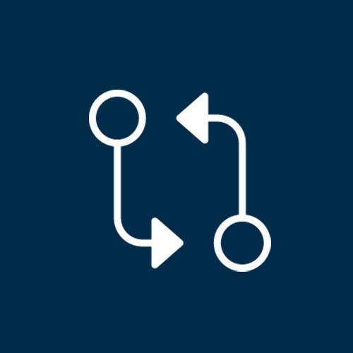 Icon Workflow