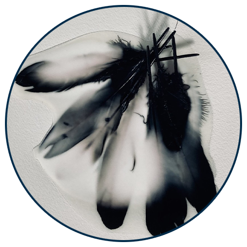 Art piece displaying feathers Art piece displaying feathers