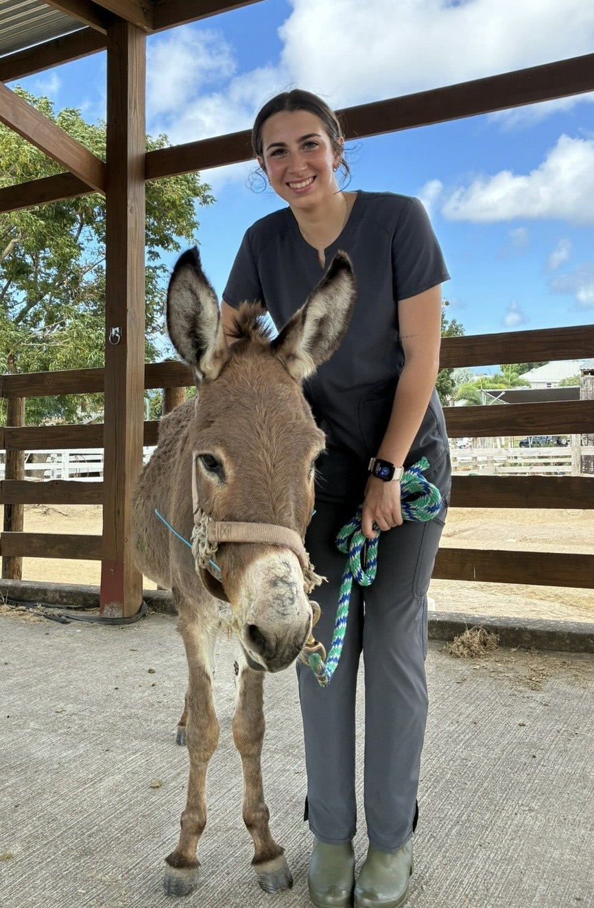 MCLA's Natalie Rich and a donkey